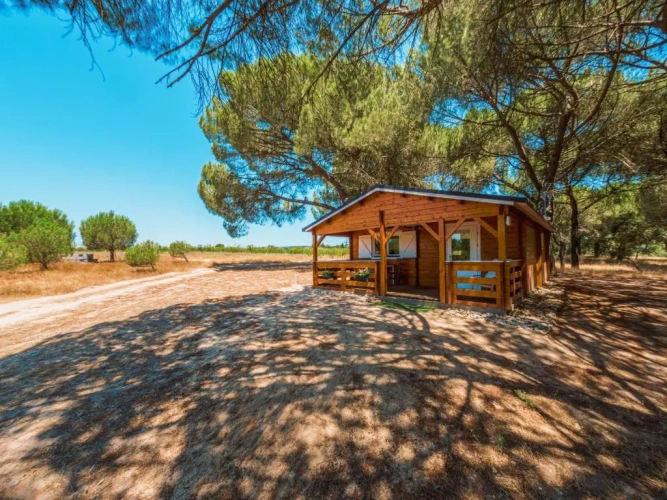 Deluxe Bungalow