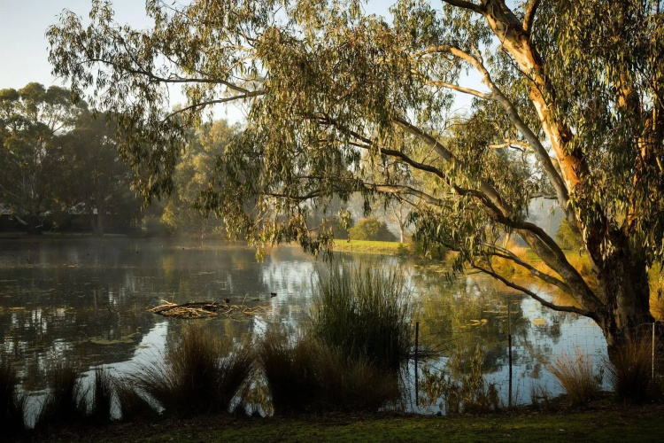 The Burrow At Wombat Bend