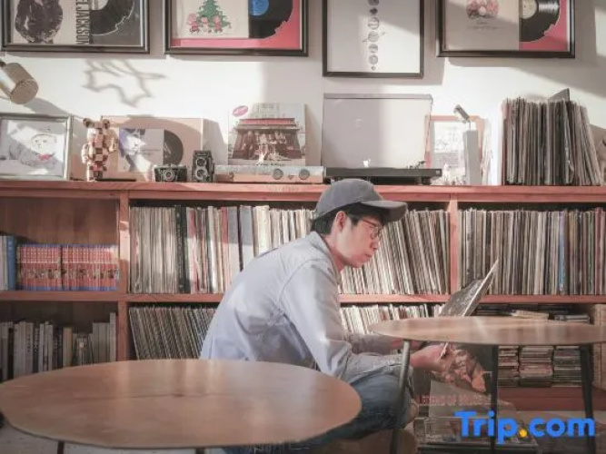 Harvestmoon Vinyl Record Villa