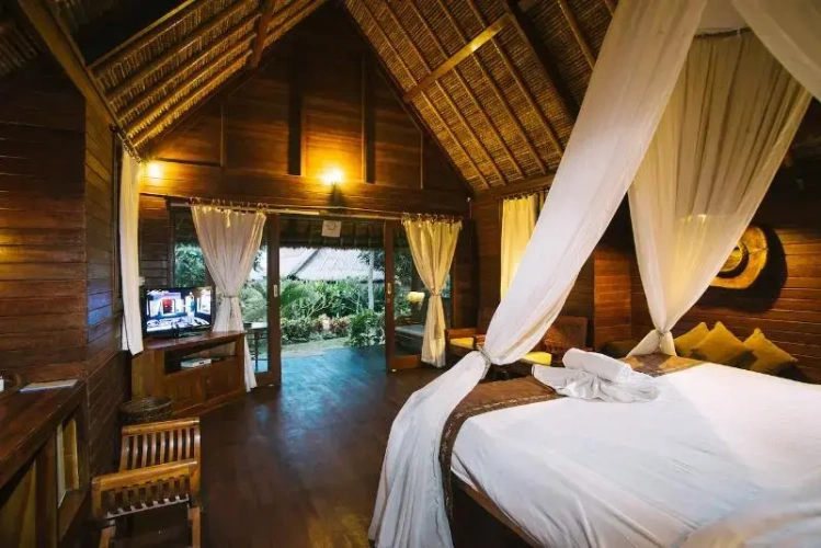 1 Bedroom Standard room with balcony and with ocean view