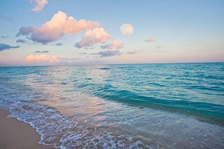 Holiday Inn Miami Beach-Oceanfront photo 30