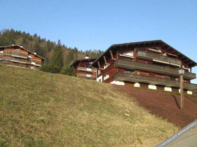 Le Grand Bornand Reservation Hotel Overview