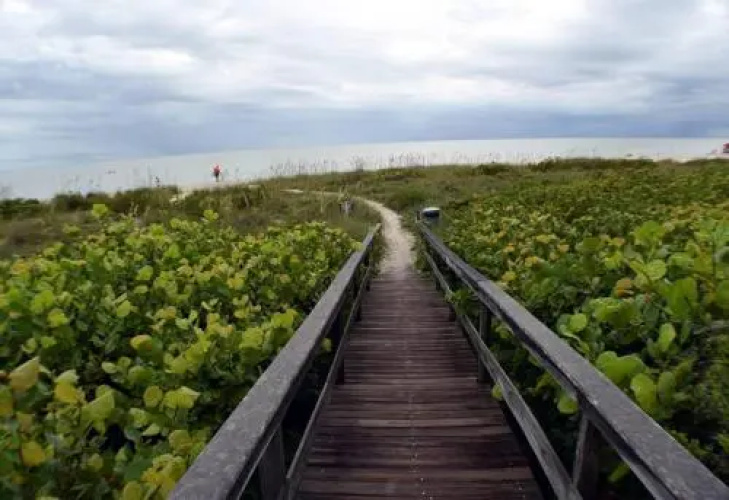 Tarpon Beach 201