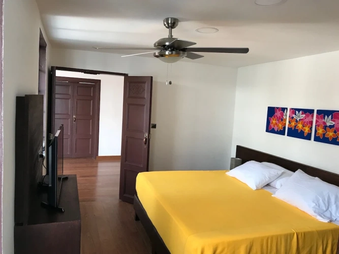 Standard Double room with garden view