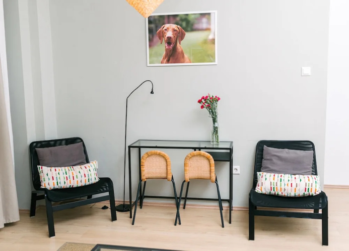 Dfive Apartments - Vizsla