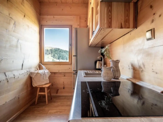 Double Studio with mountain view