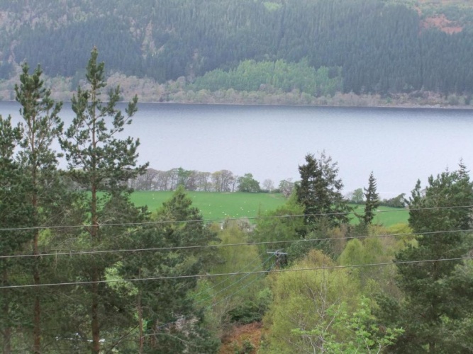 Standard Double room with lake view