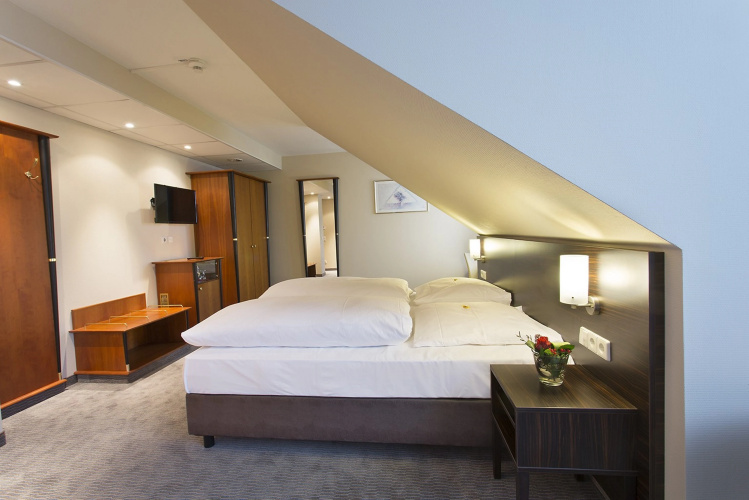 Erikson Hotel