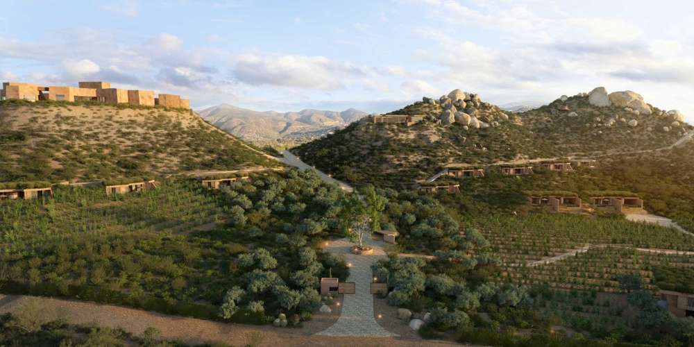 Banyan Tree Veya Valle de Guadalupe photo 24