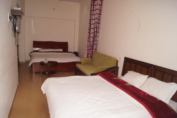 Deluxe Double room with city view