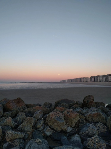Splendid Seaview