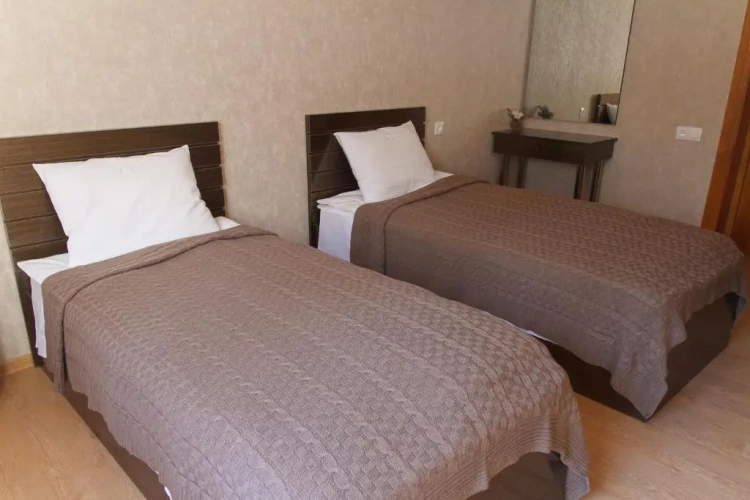 Standard Twin room with garden view