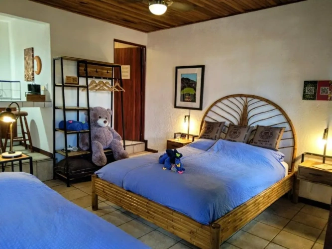 Deluxe Double room with garden view