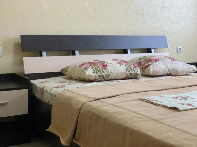 Hotel Lev