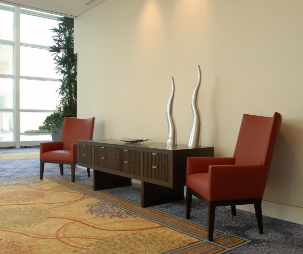 Renaissance Schaumburg Convention Center Hotel photo 6