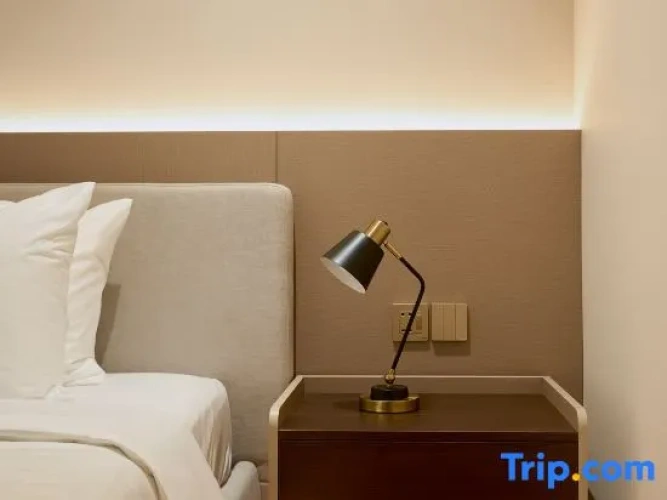 Comfort Suite