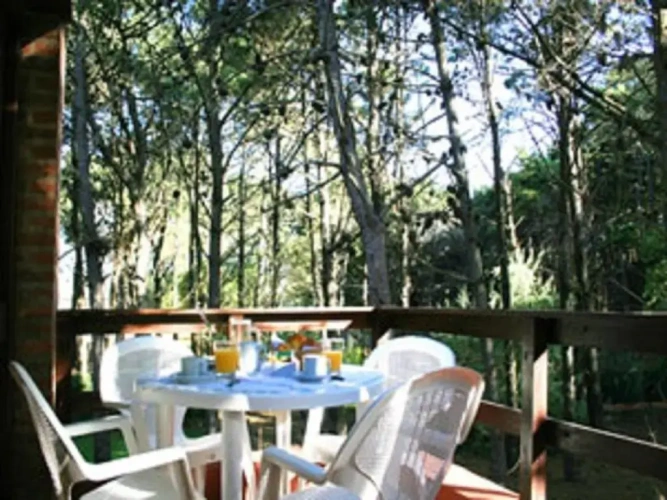 1 Bedroom Apartment with balcony