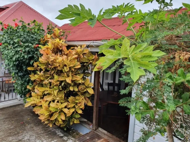 1 Bedroom Double Cottage