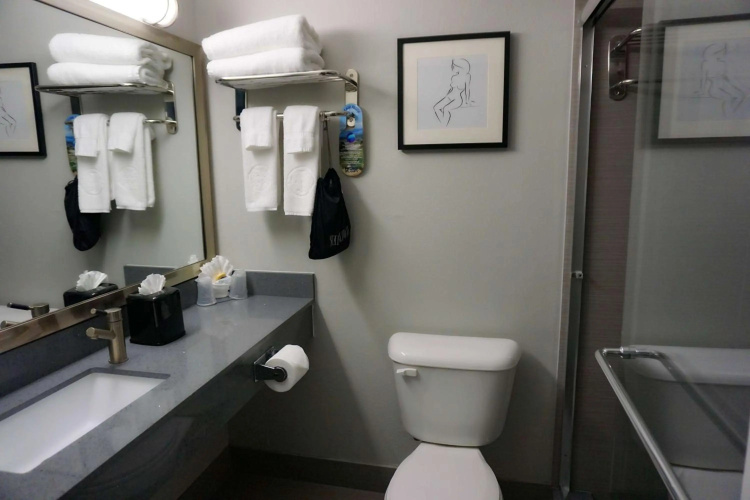 Mikado Hotel (Ex-Best Western) photo 9