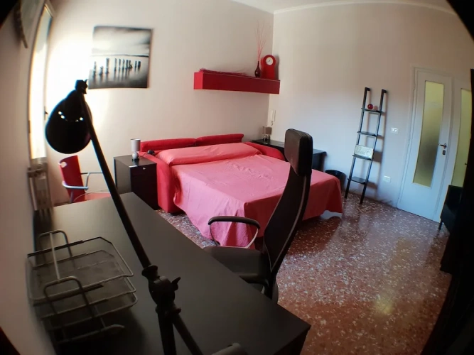 Superior Double room with balcony and with garden view