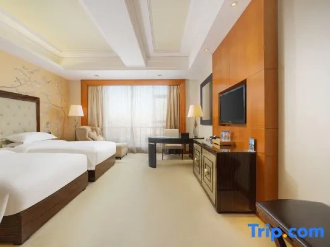 Standard Double room with view