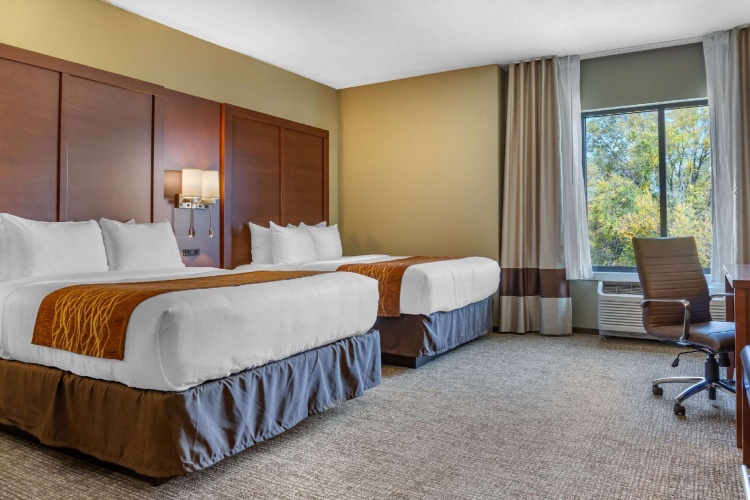 Quadruple Suite