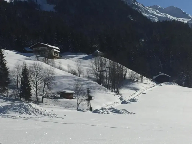Cottage