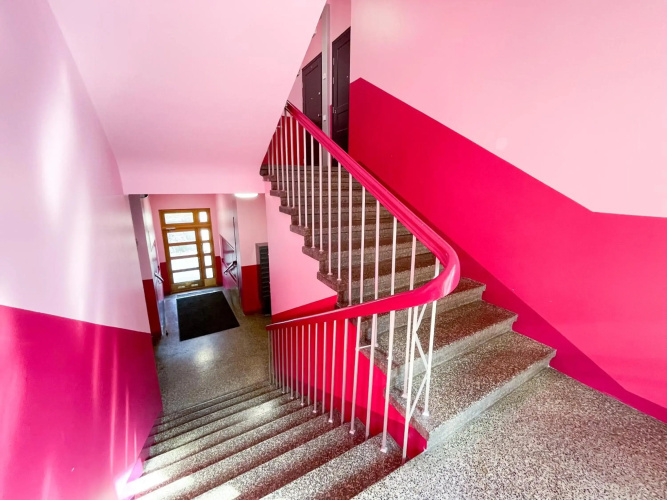 Charming studio in trendy location