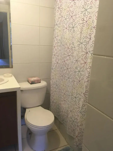 Santa Rosa Apartment, Santiago Downtown
