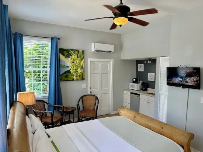Deluxe Double Basement room