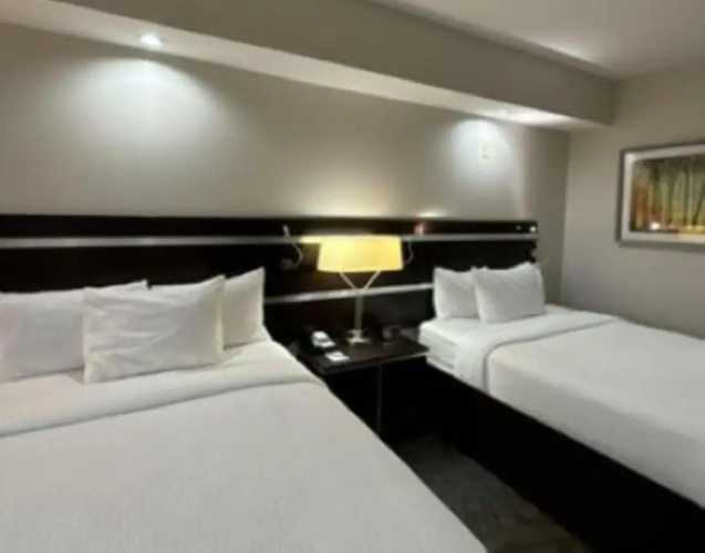 Fairfield Inn N Stes Marriott