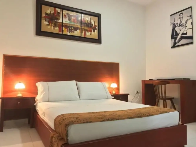 Standard Double room with garden view