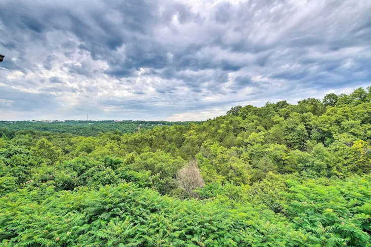 5 Mi to Branson Strip! Cozy Condo w/ Mtn Views