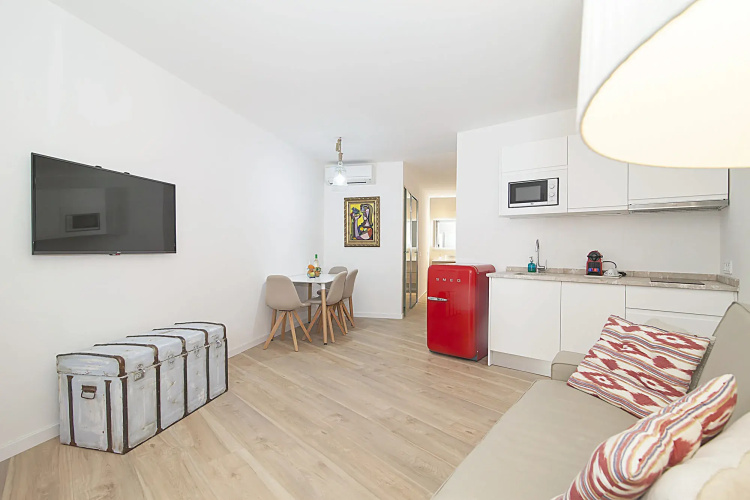 Can Blau Homes