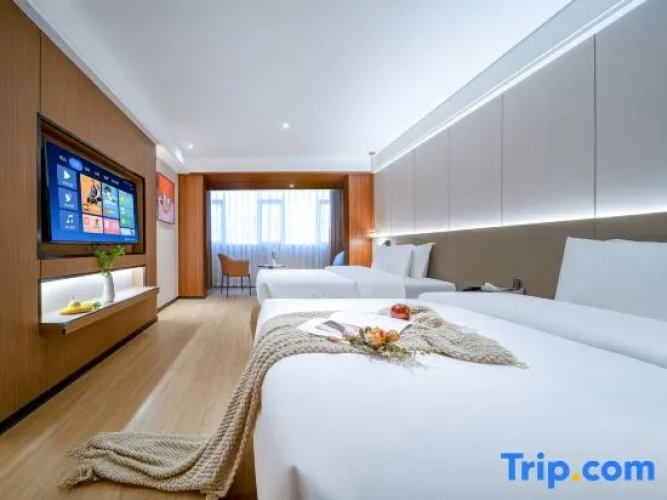 Standard Twin room with city view
