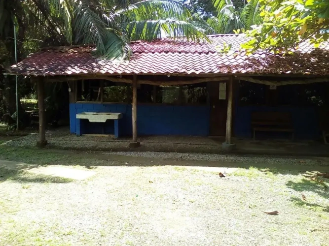 Standard Villa with view