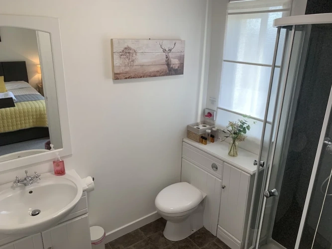 Standard Double room with lake view