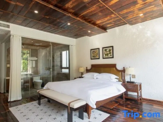 Standard Double room with balcony and with view