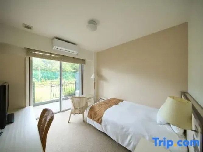 Standard Twin room with balcony and with view