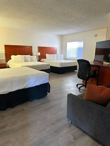 1 Bedroom Quadruple Suite