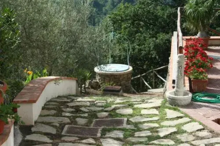 Al Tripiciano