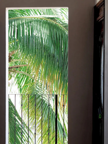 Hostal Los Gonzalez