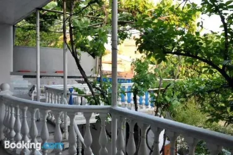 New Tbilisi Hostel