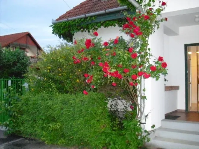 Outside