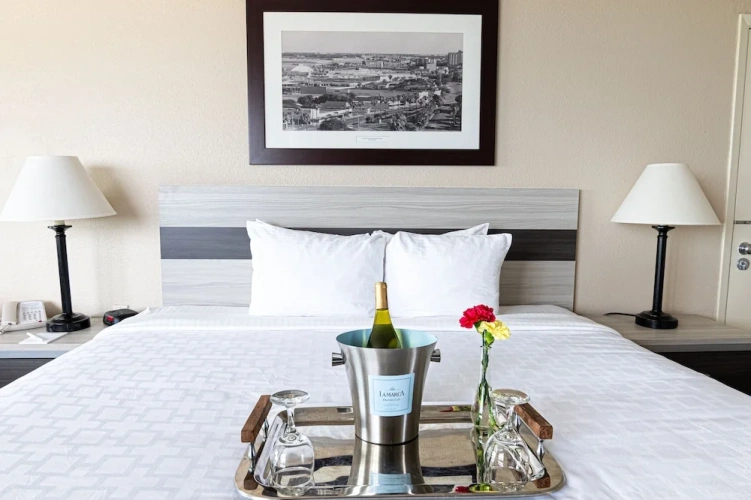 Standard Double room with balcony and with bay view
