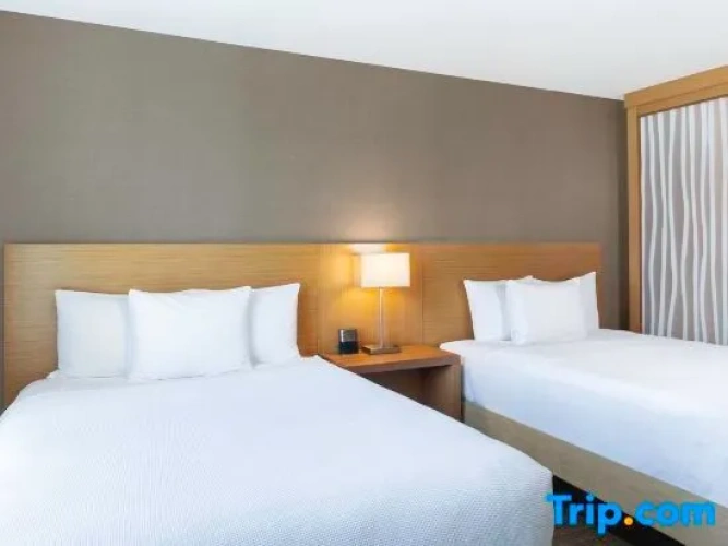 Standard Quadruple room with city view