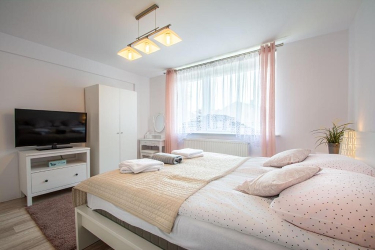 Basement Apartment