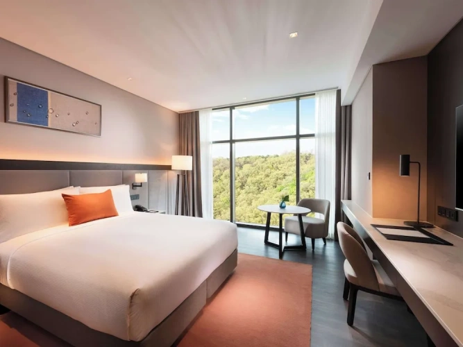 Deluxe Double room with land view