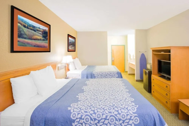 1 Bedroom Suite