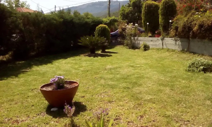 Dimitris House